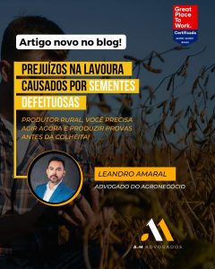 Sementes defeituosas